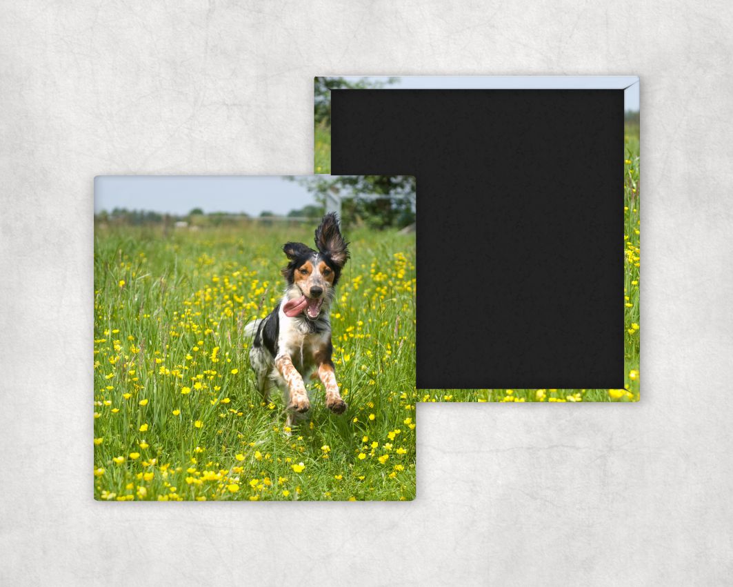 Custom Photo Magnets – Personalized Pressed Magnets Per Unit