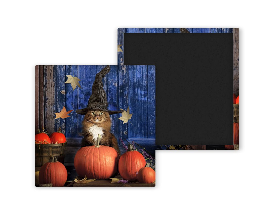 Custom Photo Magnets – Personalized Pressed Magnets Per Unit